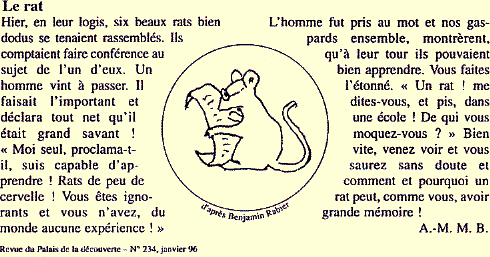 L'apprentissage chez le rat